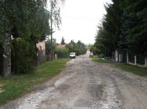 Działka budowlana obok lasu - Poznań